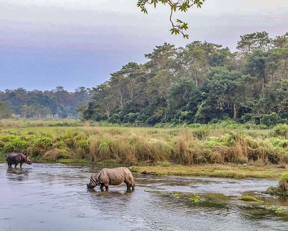 Bardiya Jungle Safari Tour – 4 Days / 3 Nights - Photo 2